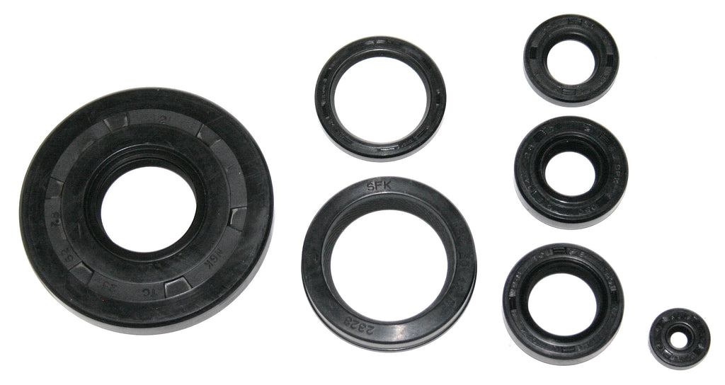 Economy Engine Oil Seal Kit