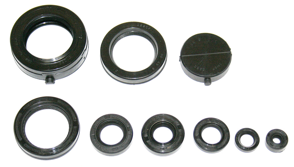 Engine Oil Seal Kit 01-9000