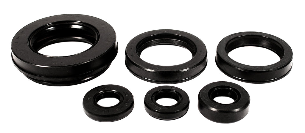 Engine Oil Seal Kit 01-9004