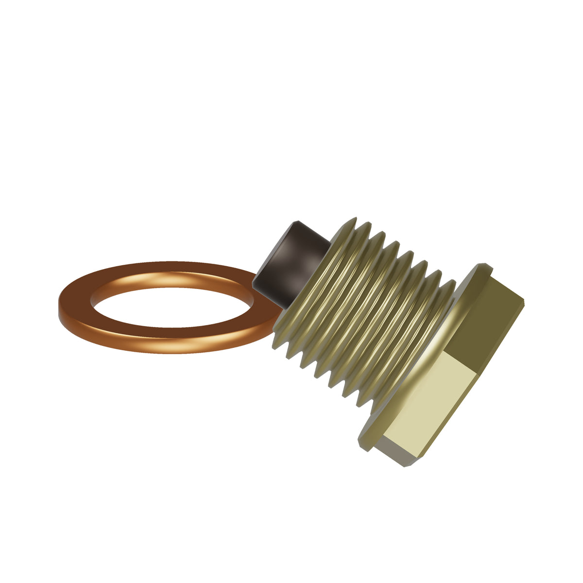 Oil drain plug — Left side
