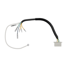Charger l'image dans la galerie, Alternator Stator Wire Harness 24-4021