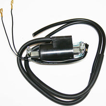 Load image into Gallery viewer, Ignition Coil 17-4542