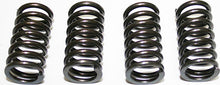 Charger l&#39;image dans la galerie, High Performance Clutch Spring Set (4pc)