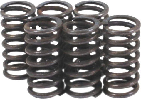 Performance Clutch Spring Kit 39-1502