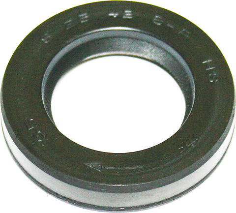 Crankshaft Seal